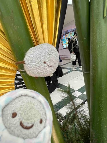 磔られてた