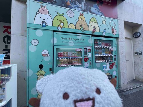見れた！