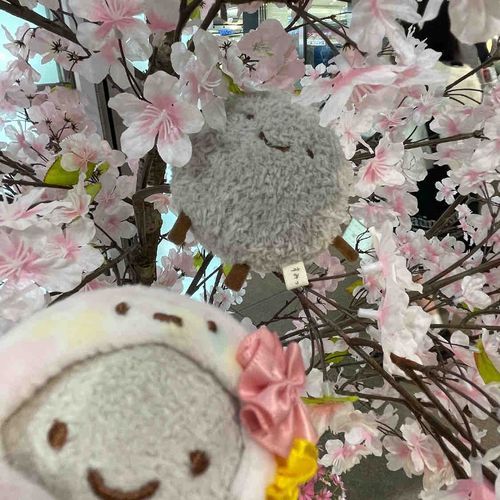 会いに行った！