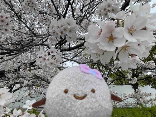 きれい！