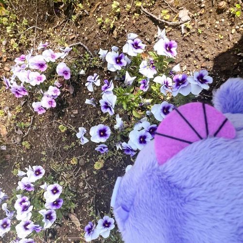 ﾆﾃｲﾙ　ｲﾛ ﾃﾞｽ