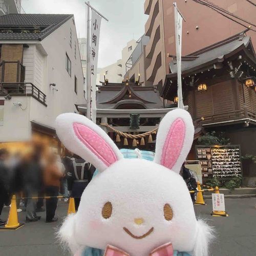 やっと　はつもうでに　いったよ！おかね　あらったよ💰　　　　　　　　メル