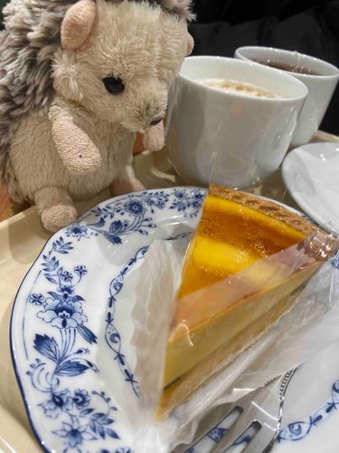 カボチャのちーずけーき
ぜんぶもらう