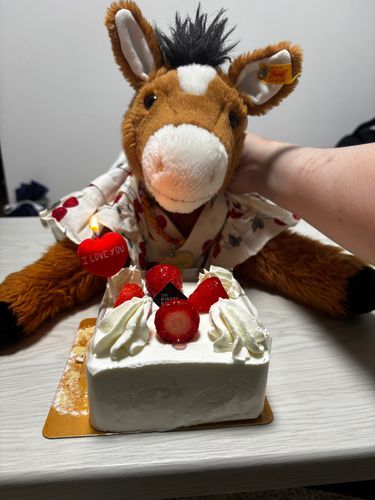 今日は誕生日ー！おめでとう！
お祝いだー
ケーキもおいしい！
2年目これからもよろしくね