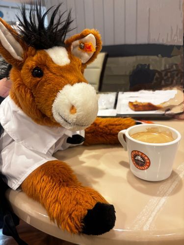 朝にコーヒーはいいね
目が覚める感じ
今日は写真頑張るよ！