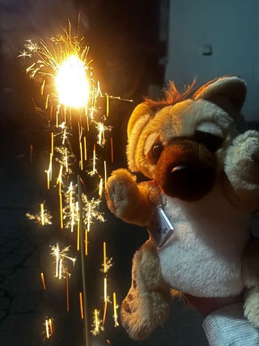 こんばんは たんぽぽです
今日はモーリーがお留守番だったから 代わりに来ました
花火すぐ終わっちゃったけど
綺麗だった！楽しかったな