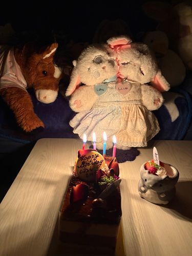 お誕生日おめでとう！
今日は詩音と詩歌 誕生日だね
素敵な一年になりますように