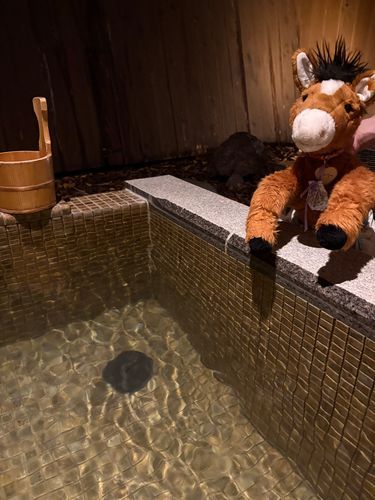 お部屋の外にお風呂ついてる
気持ちよさそう！
お部屋も広いし楽しいな
夜ご飯もいっぱいだった
最後のホテルのんびり過ごそう