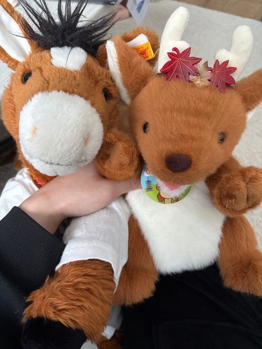 お馬さんと鹿さん
お馬鹿コンビだ！悪口じゃないよ