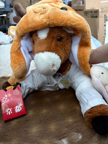 お家だーお土産だー
思い出いっぱい！
また行きたいな
