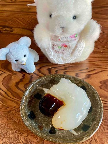 かぶとむしの幼虫を食べるよ🤍