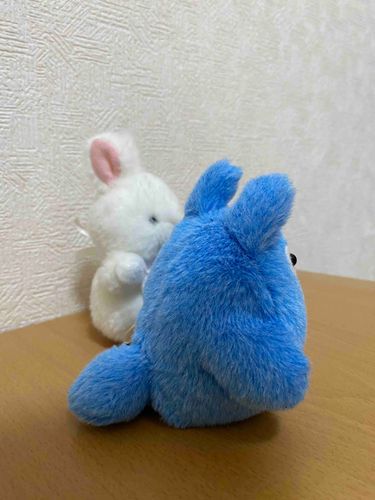 うちのも必死に見てます！