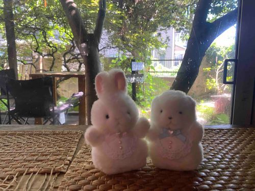 木漏れ日を感じるね