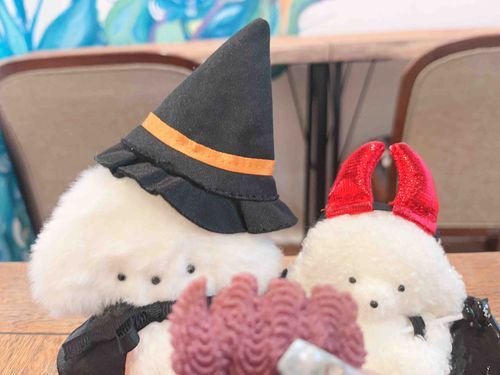 かそう してたら くっき もらえた.ᐟ.ᐟ