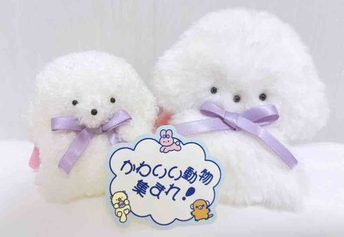 かわい から あつまた