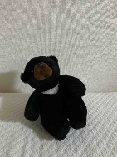 自分でもびっくりの体幹だムン...！