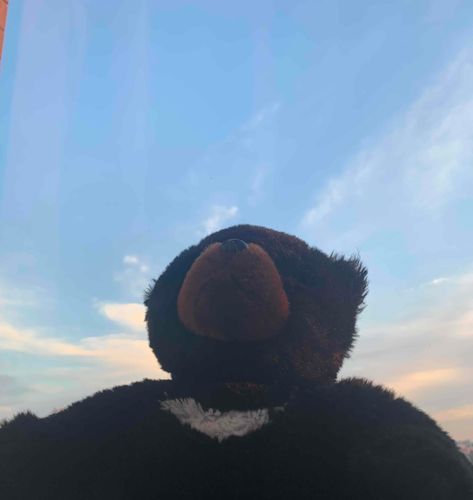 冬の夕空はココアが似合うまろやかさだムンね〜