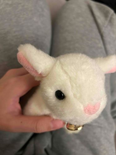 なんでさいきんおでかけないの
