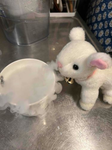 ひえひえ