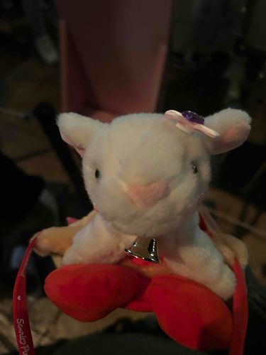 サンリオってシュガーのことかな