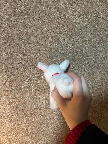 \ドン/