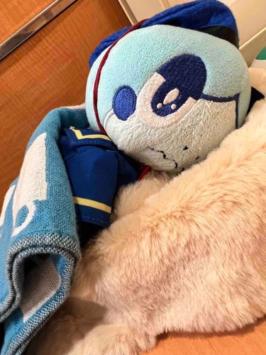 ディズニーたのちかったけどちかれためしょ……ふわふわであったまるめしょ