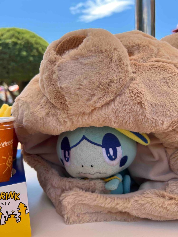 ぷーしゃんみつけてはいったらいがいとおもかっためしょ……ふわふわめしょよ