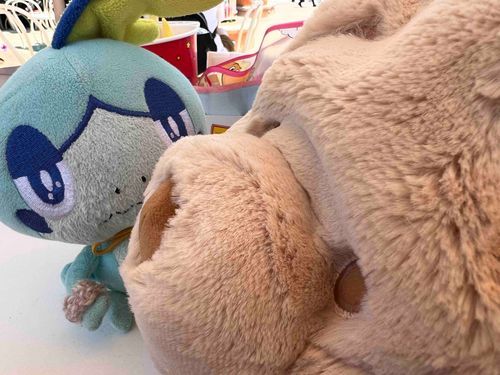 ぷーしゃんみつけてはいったらいがいとおもかっためしょ……ふわふわめしょよ
