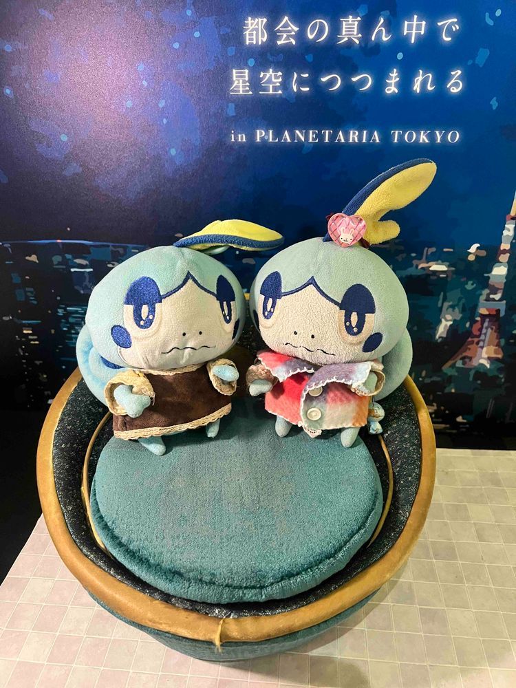 みなしゃーんひさしぶりめしょ！
ちとかぜひいててとうこおできなかためしょ、、、🤧
ところでもっとまえにぷらねたりうむいってきためしょ！
おほしさまがたっくさんいてふしぎなきもちになっためしょ！
めしょさいずのぷれみあむしーとめちゃくちゃかわいいくないめしょか！てんしょんあがっためしょよ！(∩´∀`∩)💕
