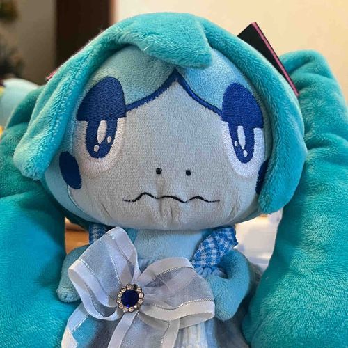 こめ、このまえはちゅねみくのこすぷれしためしょ！かわいいめしょか？
