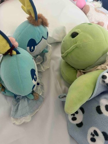あおいちゃんのにゅういんちゅうはみんなでおうたうたったりおひるねしたりしためしょ！のんびりのんびりしためしょ〜🦥