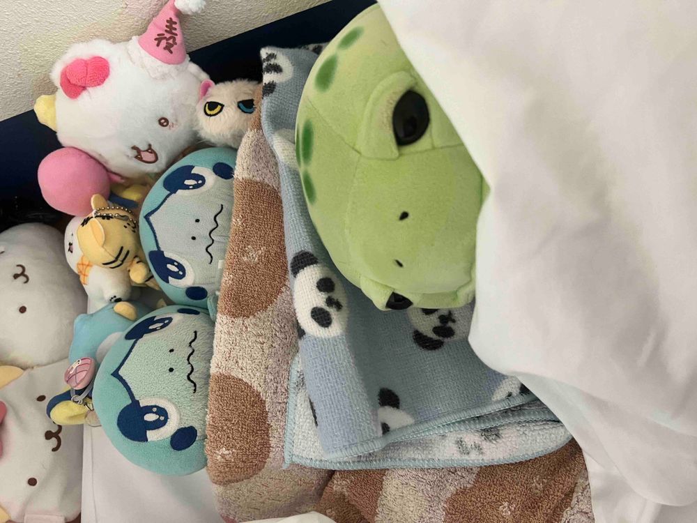 あおいちゃんのにゅういんちゅうはみんなでおうたうたったりおひるねしたりしためしょ！のんびりのんびりしためしょ〜🦥
