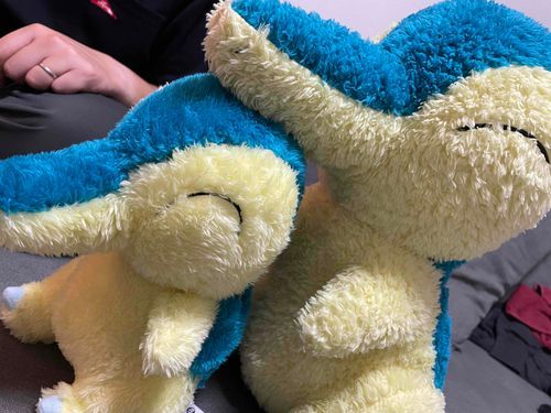 等身大のおともらちのヒノアラシくんでちゅ！最近弟が増えたらしいんでちゅ