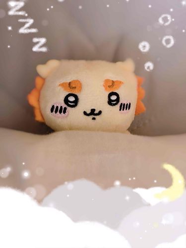 🛌