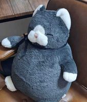 ごまめ