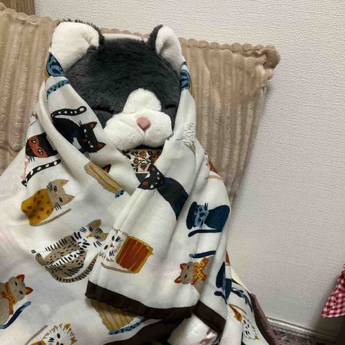 ナーン…！ﾌﾞﾙﾌﾞﾙ