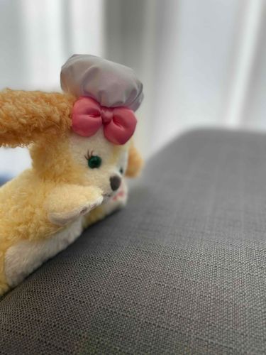 ソファーによじ登る♡