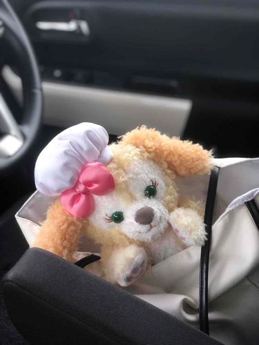 かばんの中から、ひょっこり