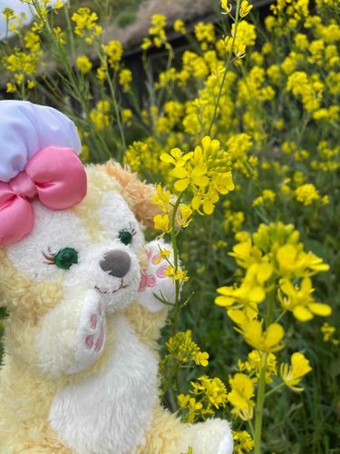 なのはな〜♡