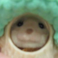 かわうそ太郎