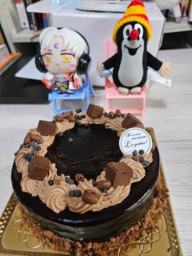 相棒&むくつるさんの相棒の2ショット
一緒にケーキを食べたよん🎵