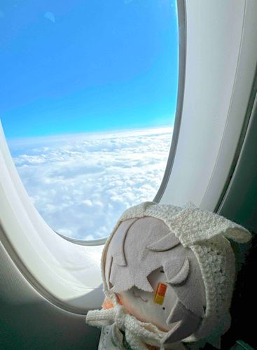 ✈️