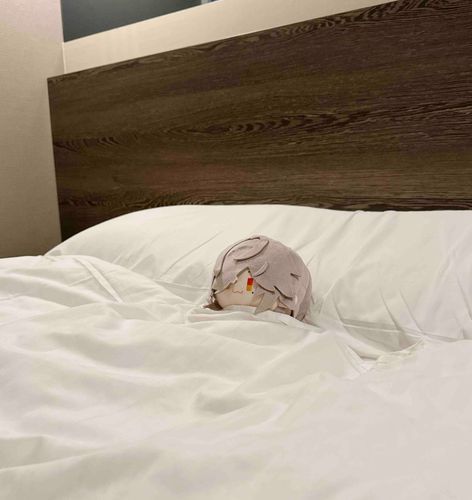 🛌