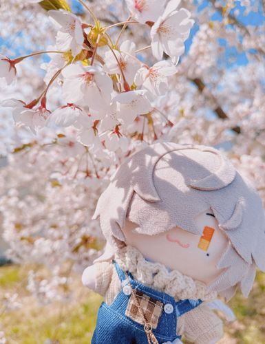 🌸