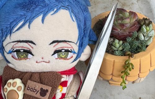 やあ！僕レーウィン。
多肉植物の寄せ植えにチャレンジするよ！！
よーしがんばるぞー！！