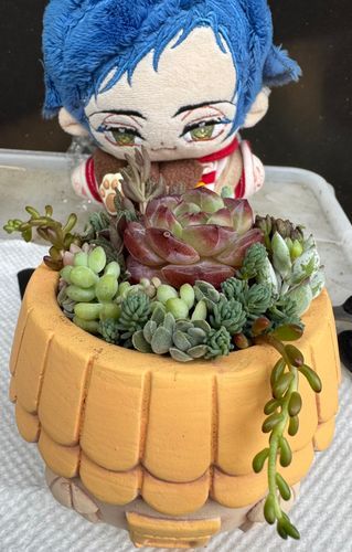 出来ました！ふふ〜！僕にしては頑張った方だと思うよ！！
…とっても難しかったけどね。