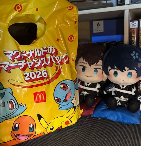 あるじがおおきな三日月と加州をつれかえってきたぞ。

あつき！ところでとなりのこれはなんだろう？

あるじが、これはふくぶくろだといっていたぞ くーぽんけんというものときっちんたいまーがはいっているらしい。