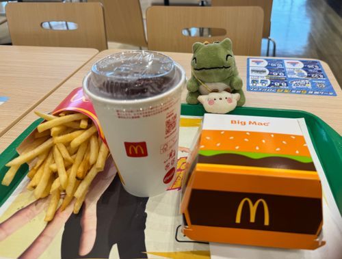 僕はみがわり！小さいみがわり。
M字のダンナのバーガーを食べに来ました。
フィレオフィッシュが一番好きですが、こちらはビックマック。
さて僕の胃に収まるかな…