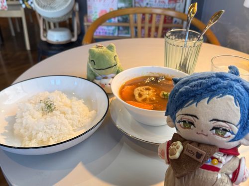 やぁ！引き続きレーウィンだよ。
これはスープカレー！
ナスにズッキーニにれんこんブロッコリー、にんじんとかぼちゃ、さらに鶏肉が入ってて少し辛かったけどとってもおいしかったよ！！

僕はみがわり！ズッキーニっておいしいんですね！実は初めて食べました。
暑い季節に熱い料理も乙なものですね。