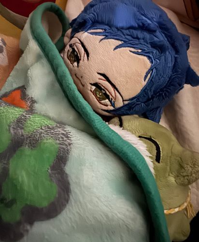バイオハザード怖かったなぁ…。
バンッて出てきて…怖かったなぁ…
みがわりくんと一緒に寝てもらって朝は起きたよ。
怖かったですね…モブのブライアンくんは頑張ってましたね…。